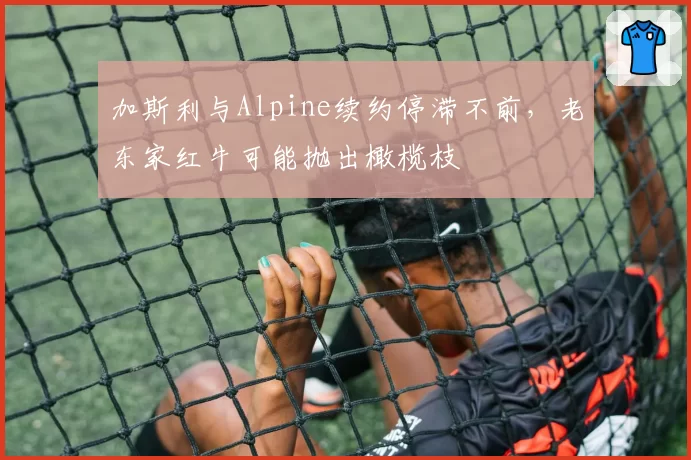 加斯利与Alpine续约停滞不前，老东家红牛可能抛出橄榄枝
