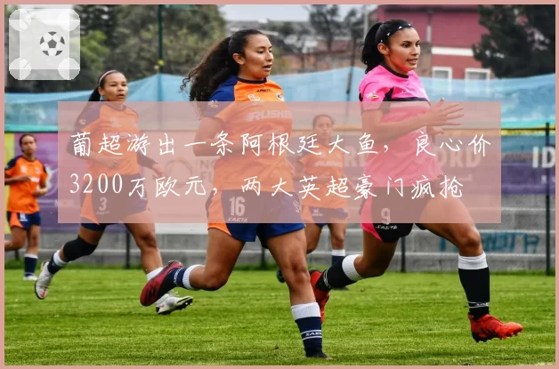 葡超游出一条阿根廷大鱼,良心价3200万欧元,两大英超豪门疯抢