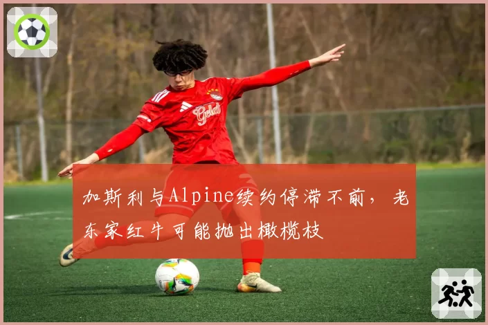 加斯利与Alpine续约停滞不前，老东家红牛可能抛出橄榄枝
