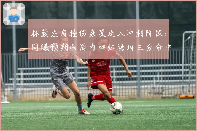 林葳左肩撞伤康复进入冲刺阶段,同曦预期两周内回归场均三分命中数将迎补强